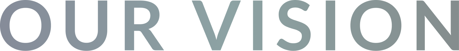 OUR VISION